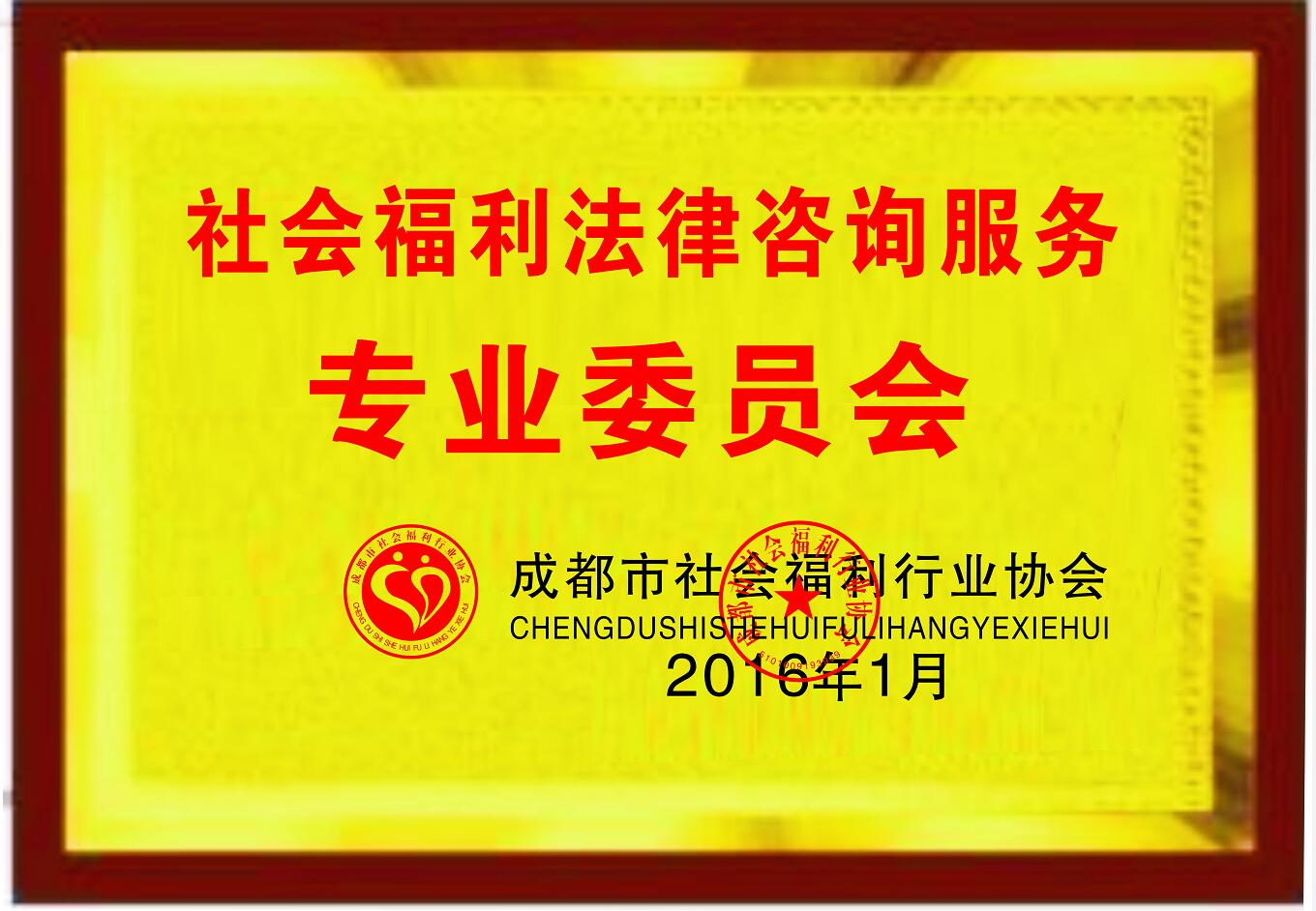社会福利法律咨询服务专业委员会证书